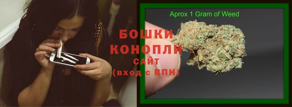 дживик Майский