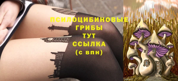 твердый Магадан