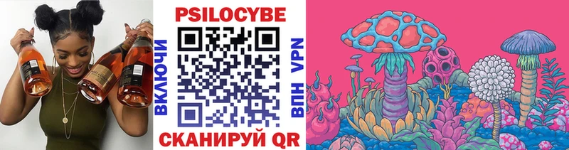 купить   Терек  Галлюциногенные грибы GOLDEN TEACHER 
